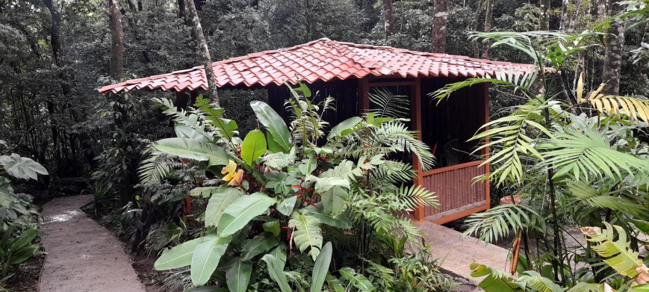 الجبل الأخضر Cabanas La Montana Mountain Lodge المظهر الخارجي الصورة
