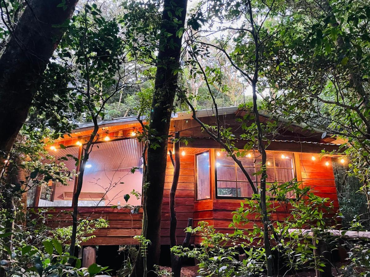 الجبل الأخضر Cabanas La Montana Mountain Lodge المظهر الخارجي الصورة